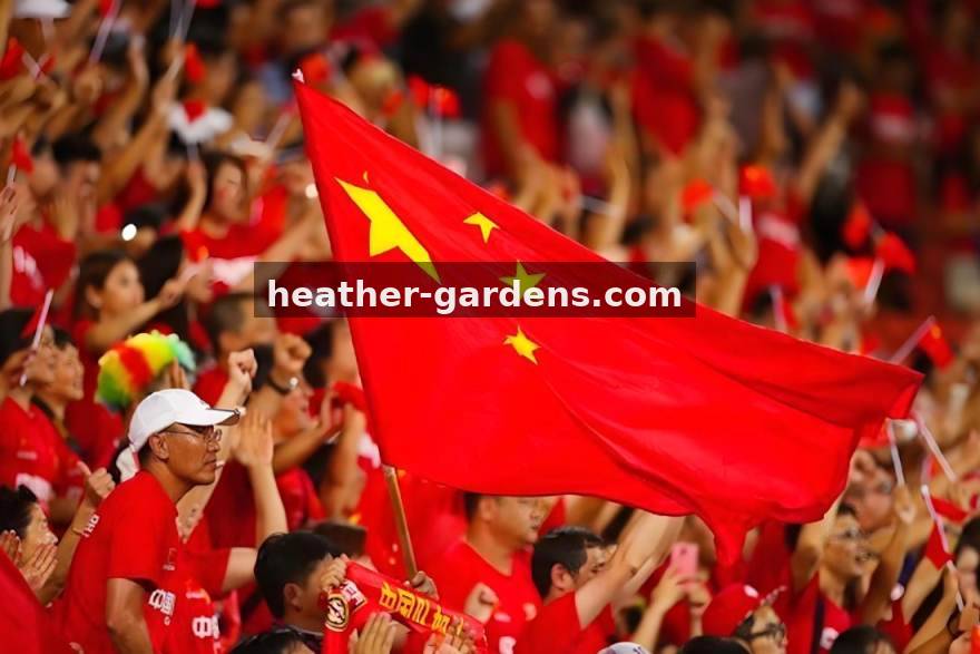 球探体育赛事资讯与转会追踪服务