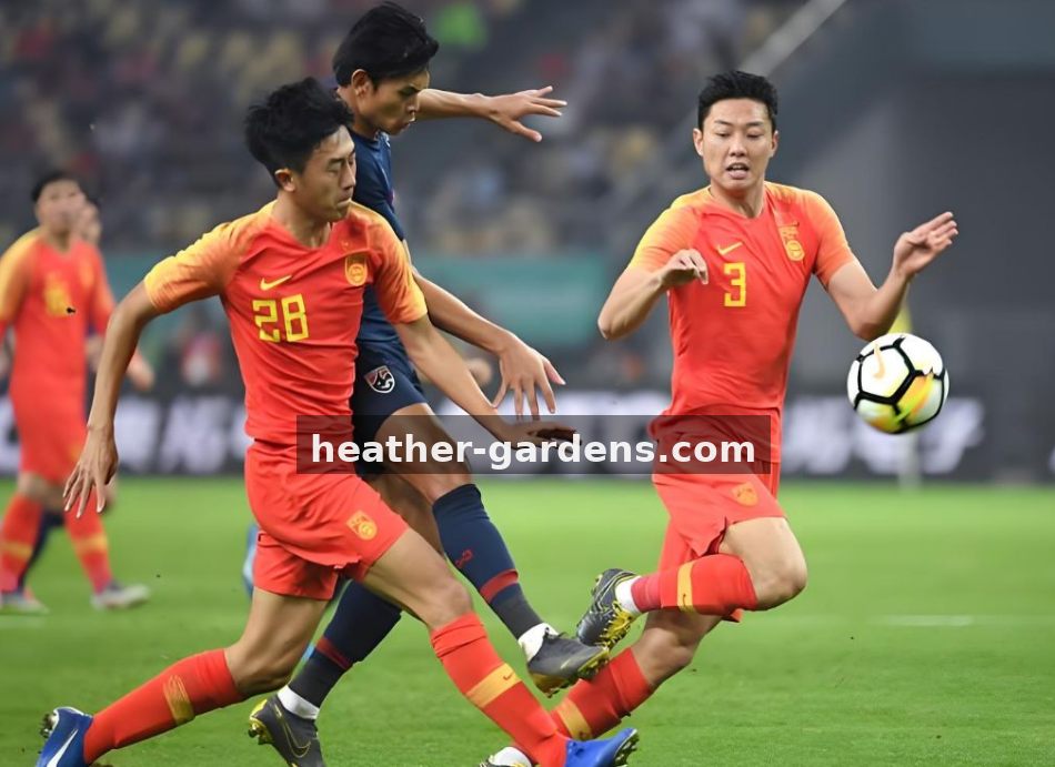 球探体育赛事资讯与转会追踪服务