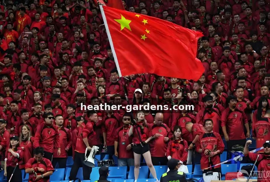 从青训营到欧冠舞台：一位数据分析师眼中的球员成长轨迹